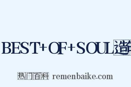 BEST+OF+SOUL造句是什么意思的图片